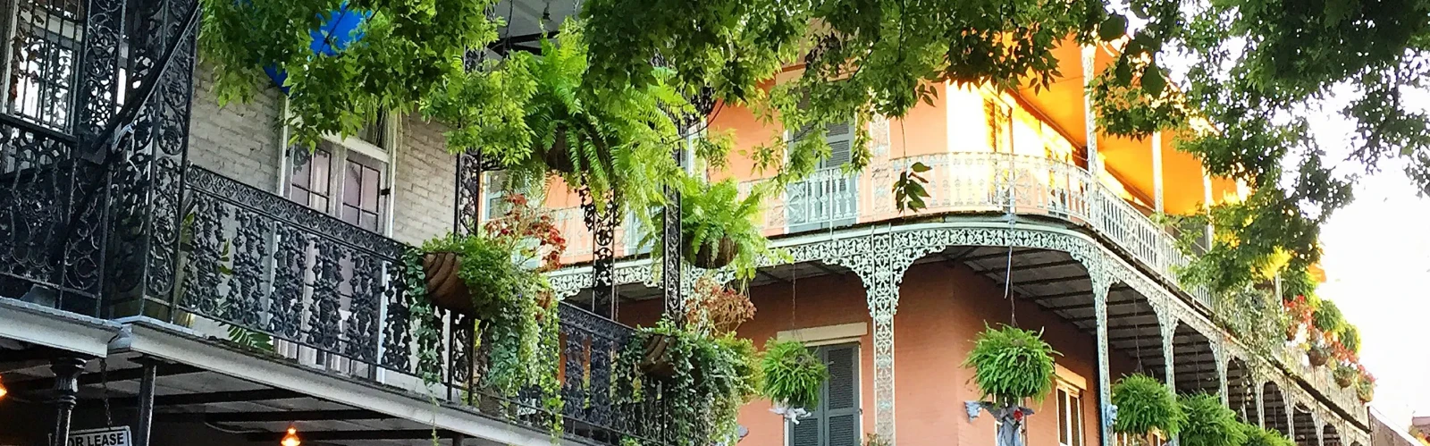 15 Best Restaurants to Try in New Orleans