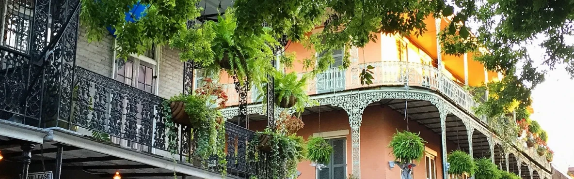 15 Best Restaurants to Try in New Orleans