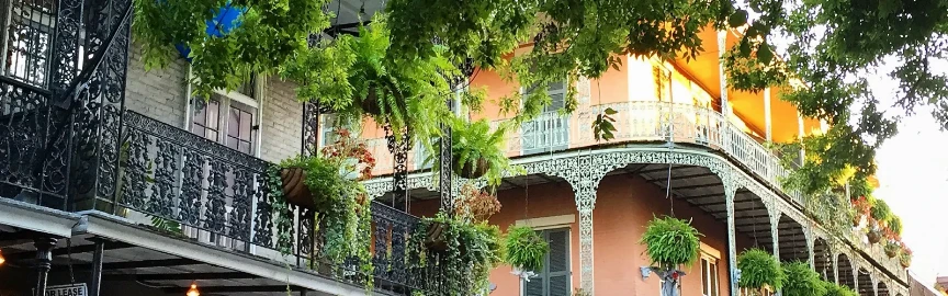 15 Best Restaurants to Try in New Orleans