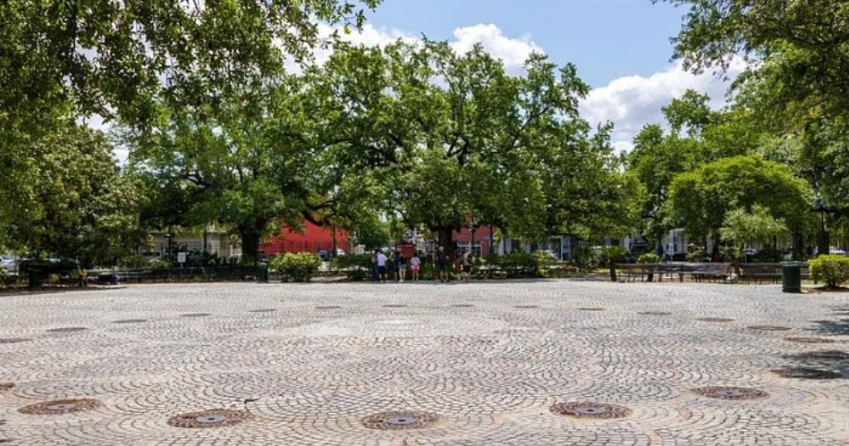 20 Best Attractions In New Orleans, Louisiana