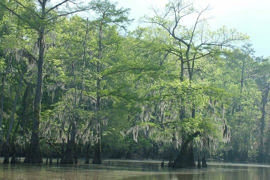 Tour image 1