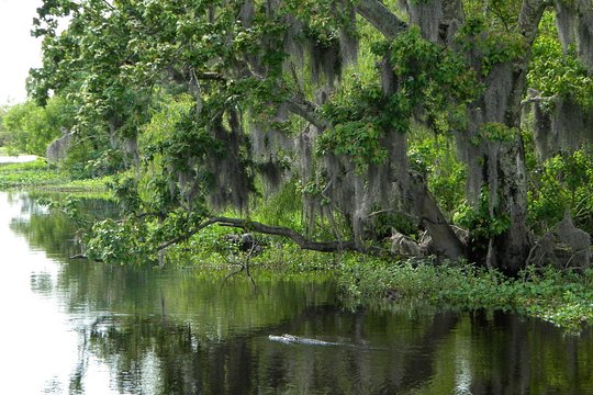 Tour image 7