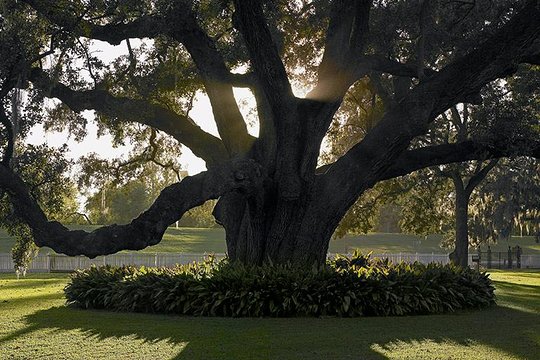 Tour image 7