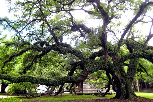 Tour image 8