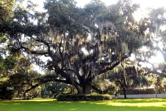 Tour image 7