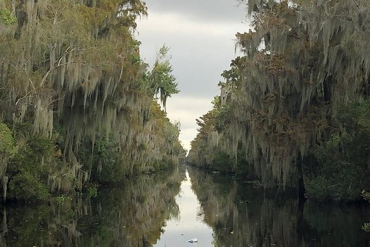 Tour image 12