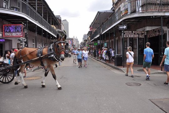Tour image 6