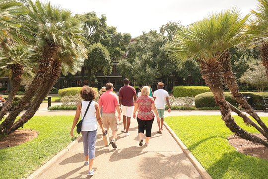 Tour image 13