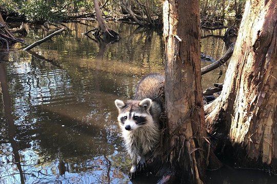 Tour image 3