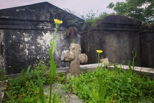 Tour image 12