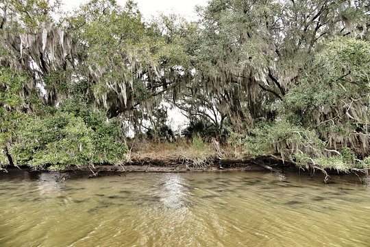 Tour image 6