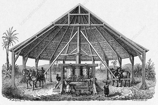 Tour image 5