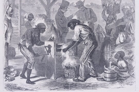 Tour image 6