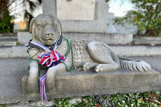Tour image 12