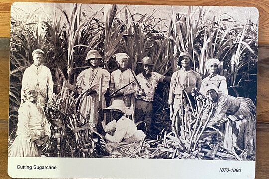 Tour image 10