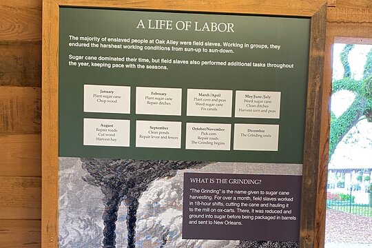 Tour image 11